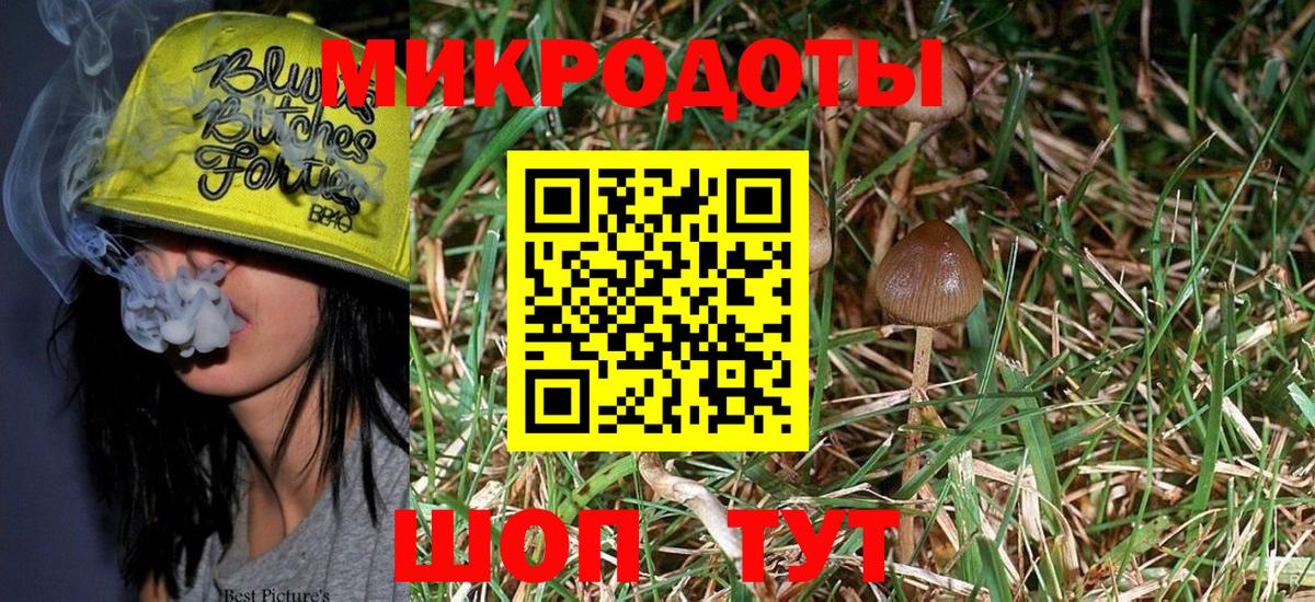 Сосновоборск  Псилоцибиновые грибы прущие грибы  Псилоцибиновые грибы MAGIC MUSHROOMS  Вход с VPN 